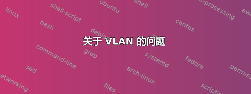 关于 VLAN 的问题