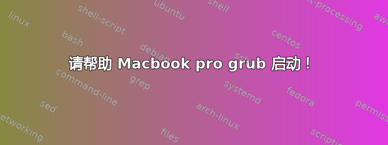 请帮助 Macbook pro grub 启动！