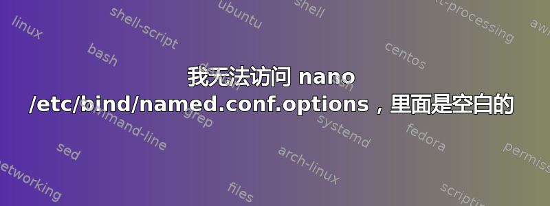 我无法访问 nano /etc/bind/named.conf.options，里面是空白的