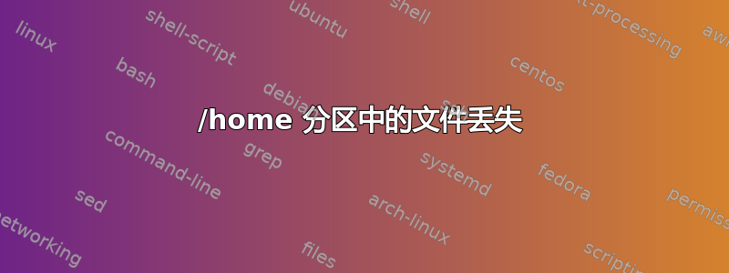 /home 分区中的文件丢失