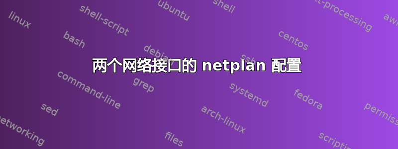 两个网络接口的 netplan 配置