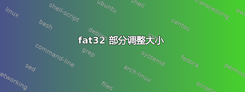 fat32 部分调整大小