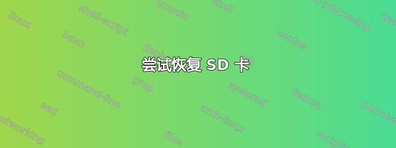 尝试恢复 SD 卡