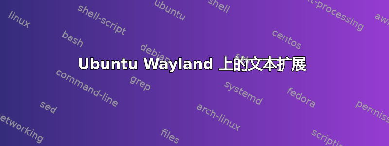 Ubuntu Wayland 上的文本扩展