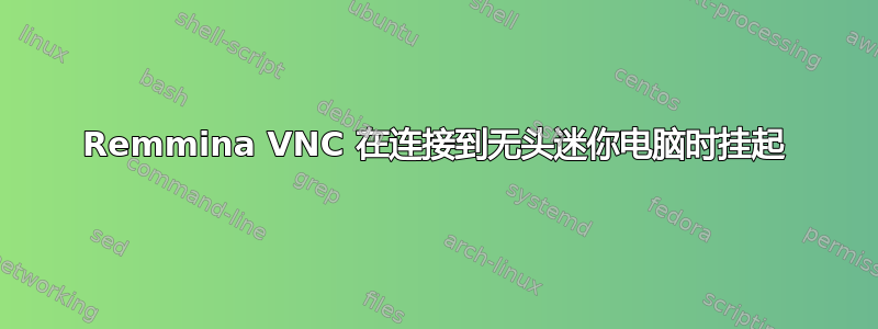 Remmina VNC 在连接到无头迷你电脑时挂起