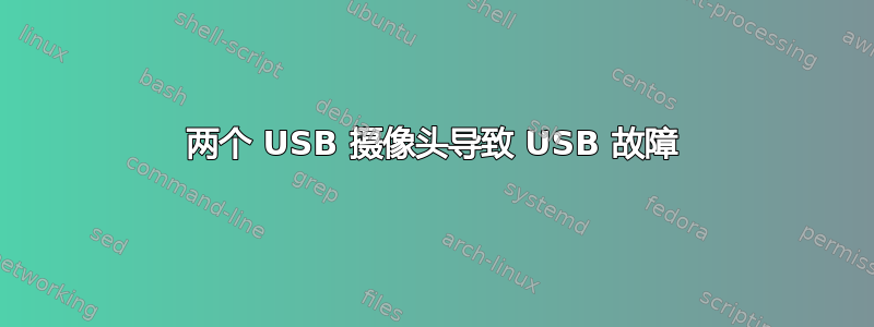 两个 USB 摄像头导致 USB 故障