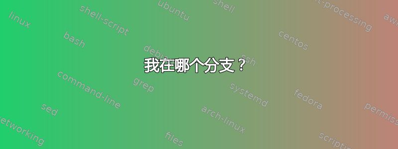 我在哪个分支？