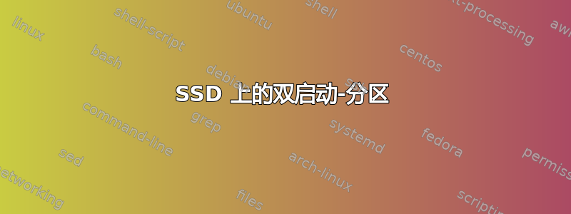 SSD 上的双启动-分区