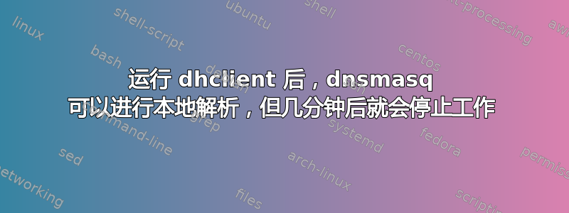 运行 dhclient 后，dnsmasq 可以进行本地解析，但几分钟后就会停止工作