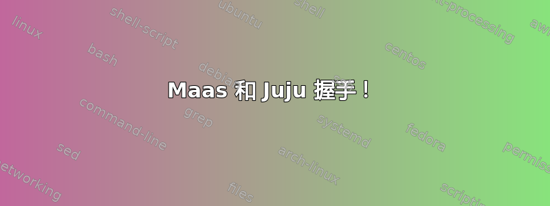 Maas 和 Juju 握手！