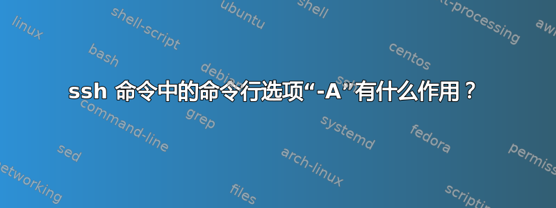 ssh 命令中的命令行选项“-A”有什么作用？