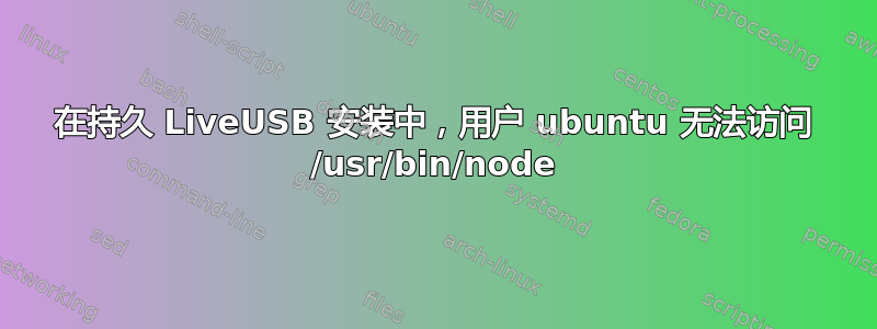 在持久 LiveUSB 安装中，用户 ubuntu 无法访问 /usr/bin/node