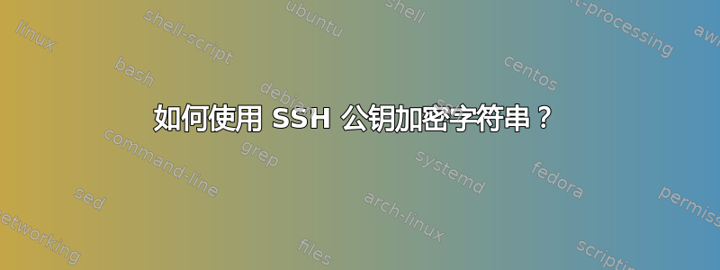 如何使用 SSH 公钥加密字符串？