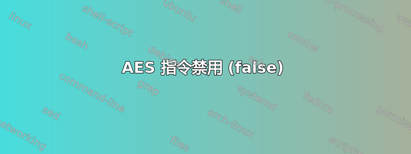 AES 指令禁用 (false)