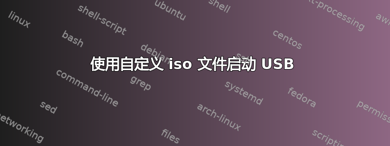 使用自定义 iso 文件启动 USB