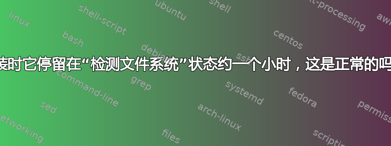 安装时它停留在“检测文件系统”状态约一个小时，这是正常的吗？