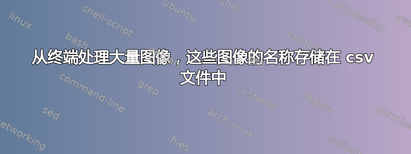 从终端处理大量图像，这些图像的名称存储在 csv 文件中