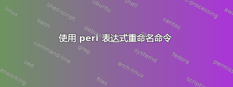 使用 perl 表达式重命名命令