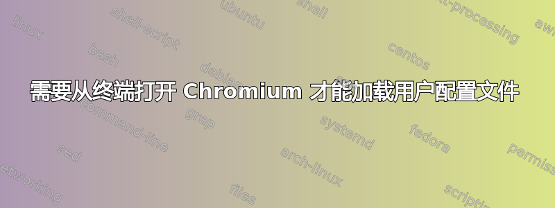 需要从终端打开 Chromium 才能加载用户配置文件