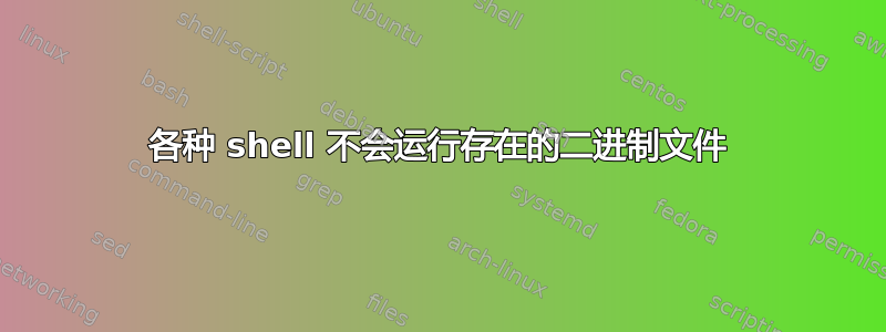 各种 shell 不会运行存在的二进制文件