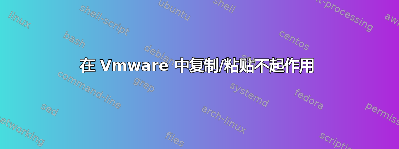 在 Vmware 中复制/粘贴不起作用