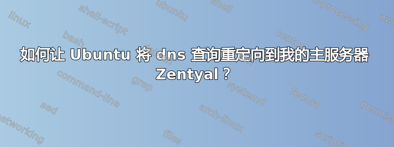 如何让 Ubuntu 将 dns 查询重定向到我的主服务器 Zentyal？