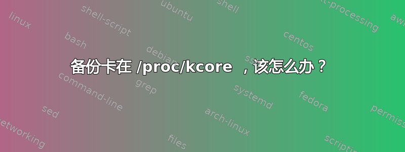 备份卡在 /proc/kcore ，该怎么办？