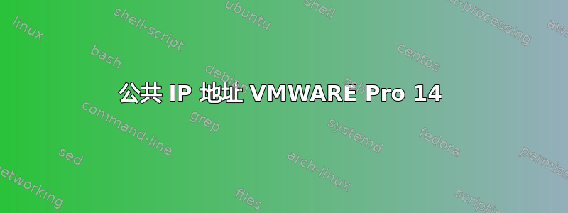 公共 IP 地址 VMWARE Pro 14