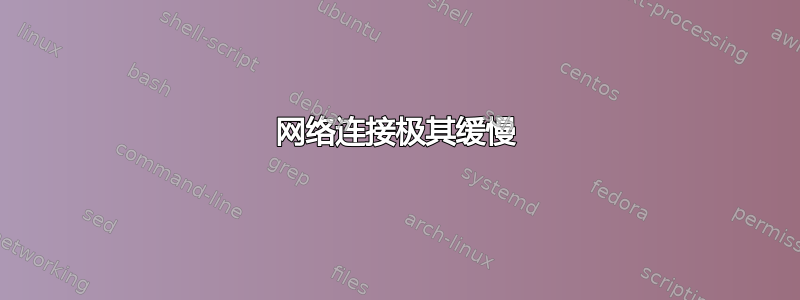 网络连接极其缓慢