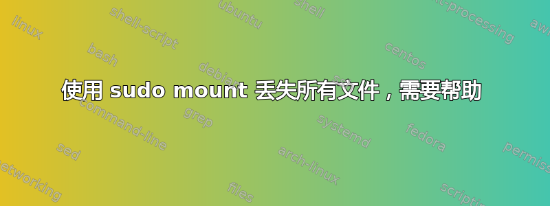 使用 sudo mount 丢失所有文件，需要帮助