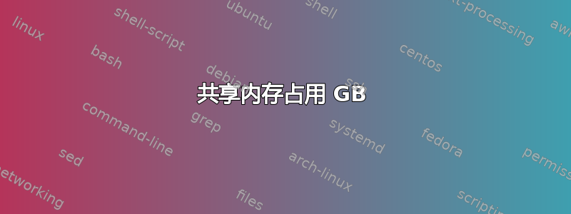 共享内存占用 GB