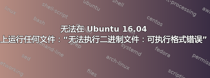 无法在 Ubuntu 16.04 上运行任何文件：“无法执行二进制文件：可执行格式错误”