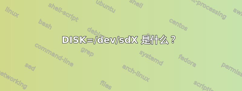 DISK=/dev/sdX 是什么？