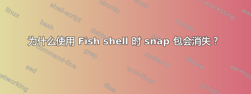 为什么使用 Fish shell 时 snap 包会消失？