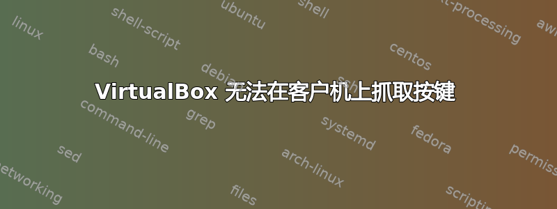 VirtualBox 无法在客户机上抓取按键