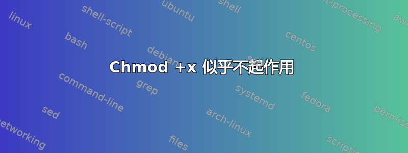 Chmod +x 似乎不起作用