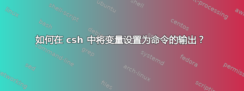 如何在 csh 中将变量设置为命令的输出？