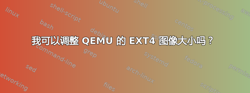 我可以调整 QEMU 的 EXT4 图像大小吗？