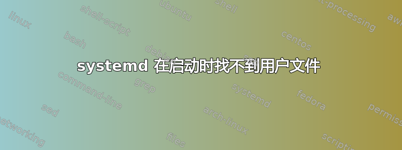 systemd 在启动时找不到用户文件