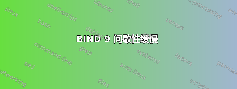 BIND 9 间歇性缓慢