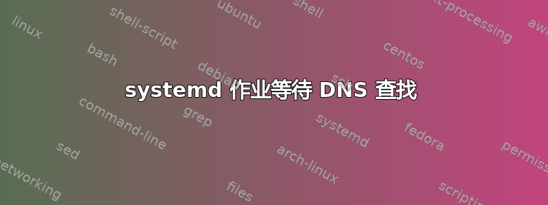 systemd 作业等待 DNS 查找