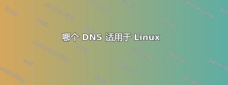 哪个 DNS 适用于 Linux 