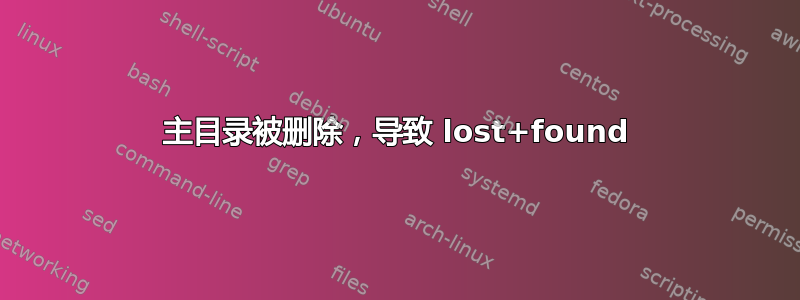 主目录被删除，导致 lost+found