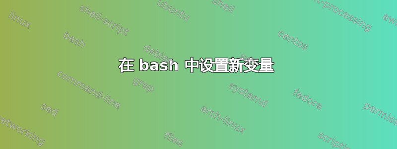 在 bash 中设置新变量