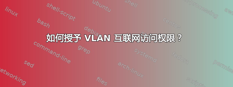 如何授予 VLAN 互联网访问权限？