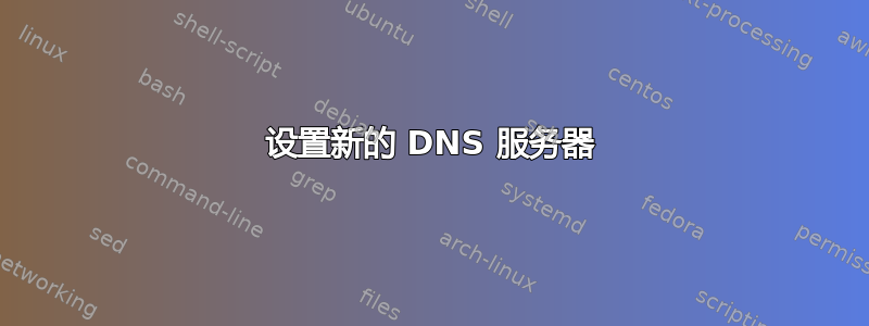 设置新的 DNS 服务器