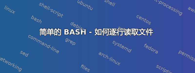 简单的 BASH - 如何逐行读取文件