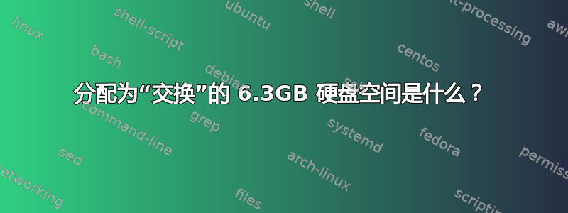 分配为“交换”的 6.3GB 硬盘空间是什么？