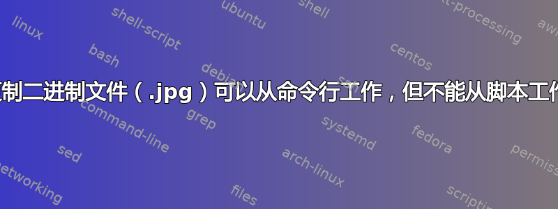 复制二进制文件（.jpg）可以从命令行工作，但不能从脚本工作