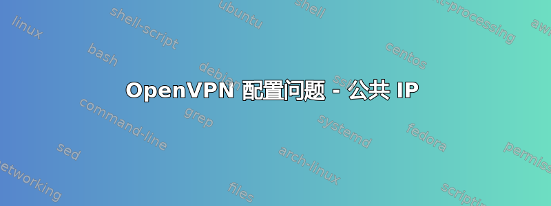 OpenVPN 配置问题 - 公共 IP